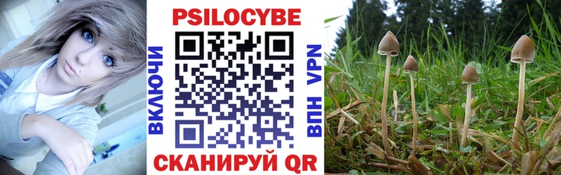 где продают наркотики  Сосногорск  Псилоцибиновые грибы мухоморы 
